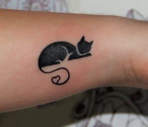 TattooGatos07