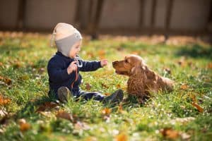 cachorro-crianca-pequena