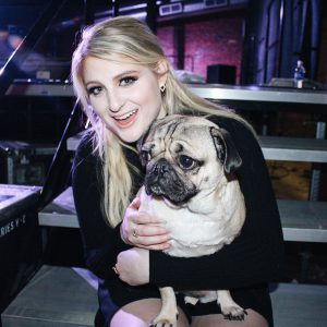 DougThePugMeghanTrainor