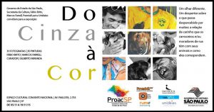 docinzaacor01