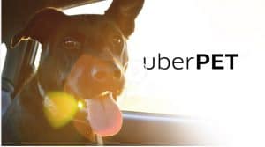 uber_pet