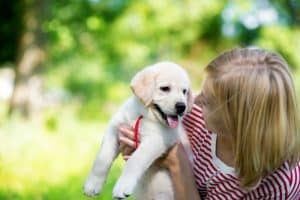 Tutora segurando cachorro filhote no colo