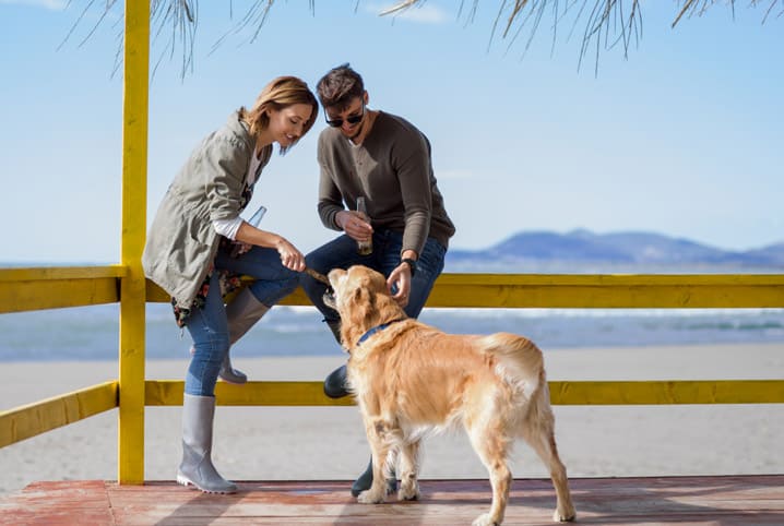 vitamina para cachorro