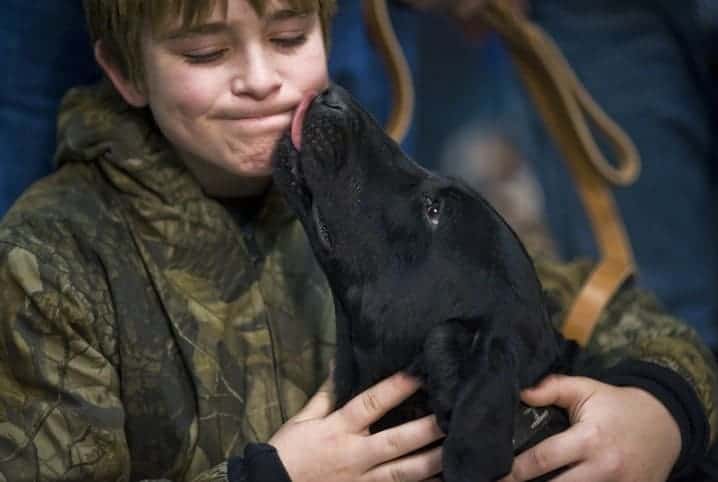 Cachorro de pelos pretos lambendo o rosto de um menino.