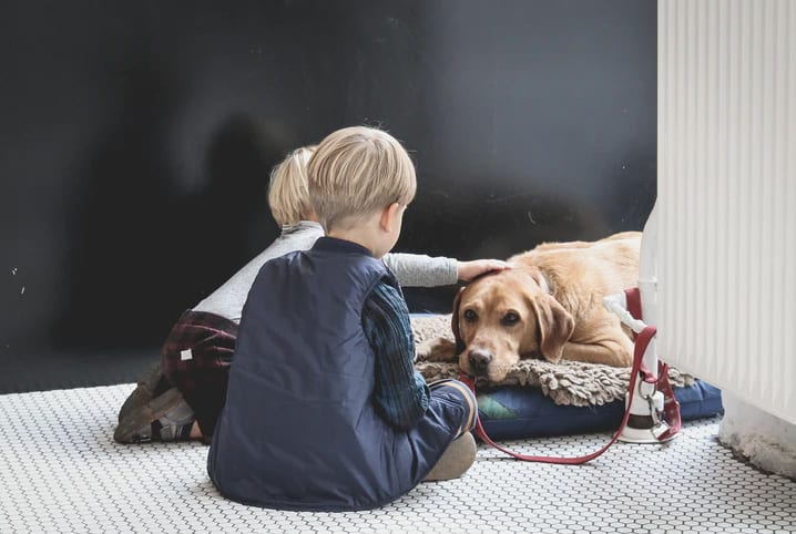 criança brincando com cachorro