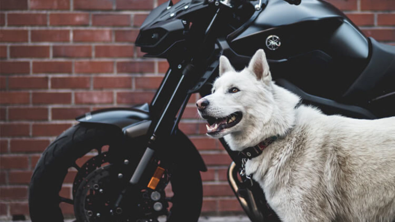 Dez equipamentos essenciais para andar de moto com segurança