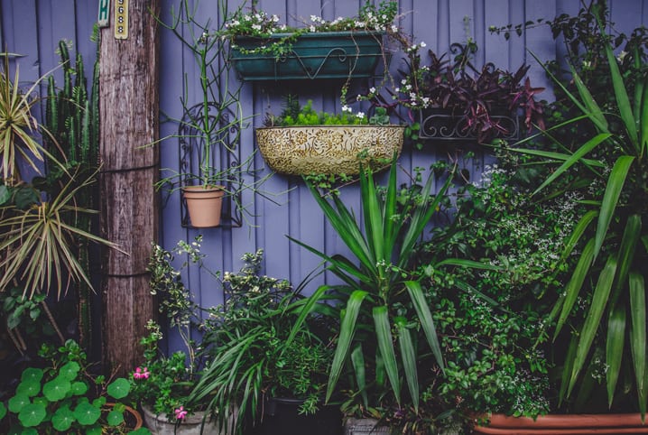 Jardim suspenso com diferentes plantas.