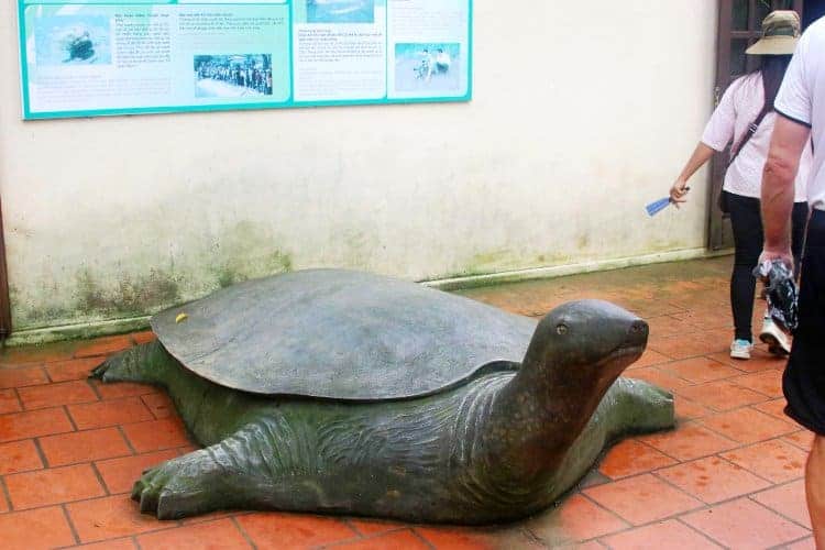 estátua de uma tartaruga de casco mole