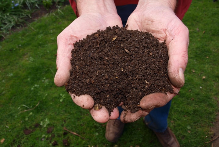 pessoa segurando terra para plantação.