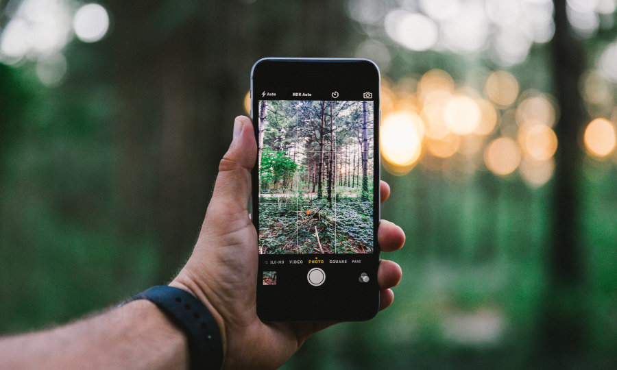 app para identificar plantas