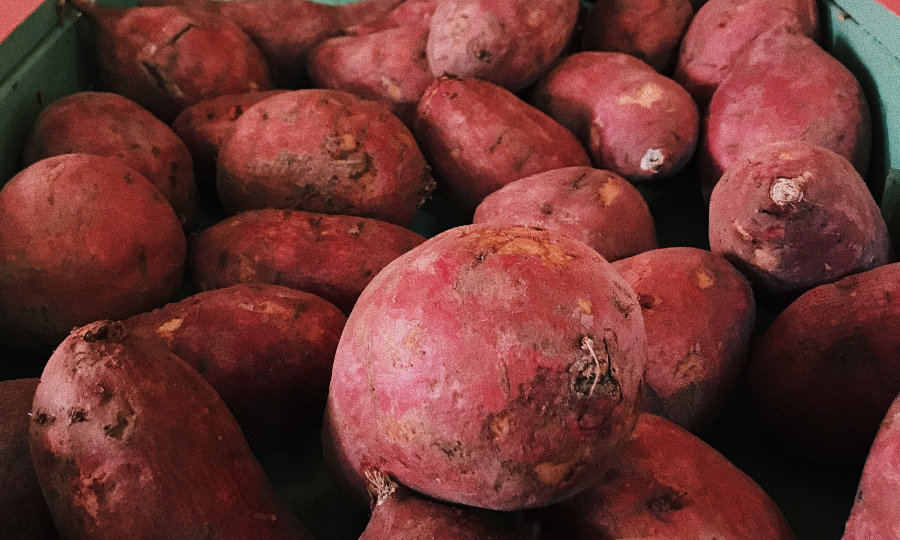 batata-doce à venda.