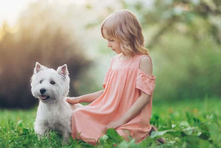 Cachorro ao lado de criança