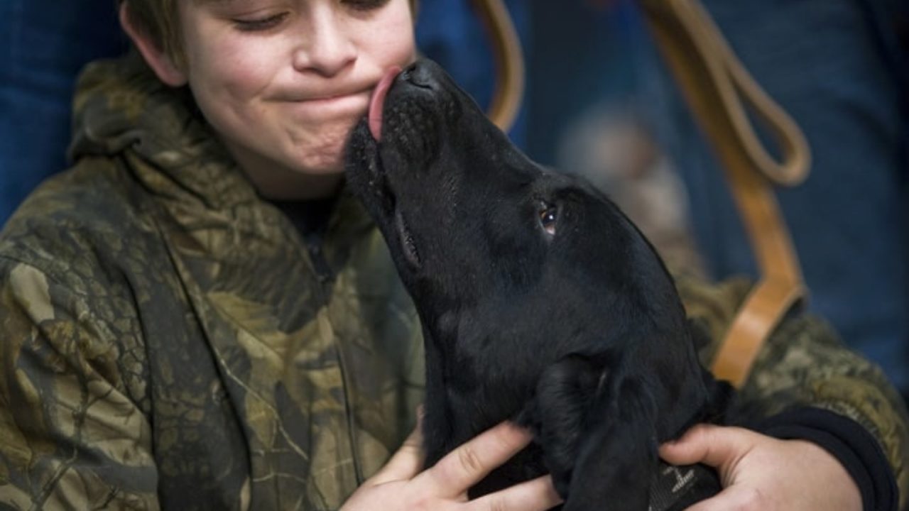 Será que cachorros gostam de beijos? Saiba mais aqui | Petz