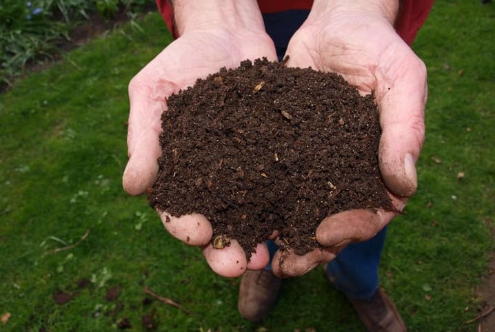 Pessoas segurando a terra com as mãos.