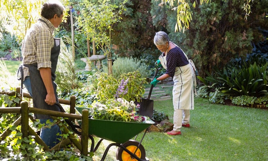 Pessoas cuidando do jardim.