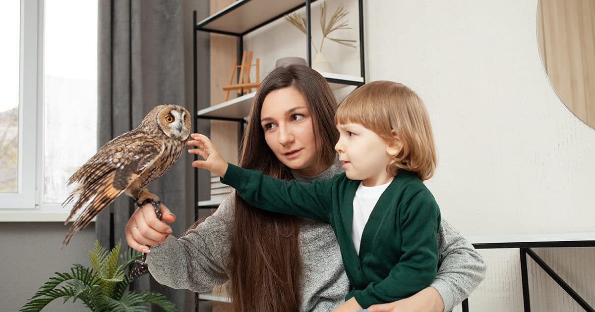 mãe segurando a coruja na mão e filho tentando fazer carinho.