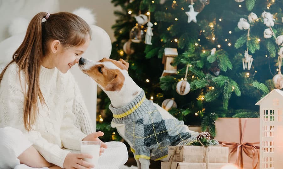 Cachorro lambendo o rosto da tutora que segura um copo de leite.