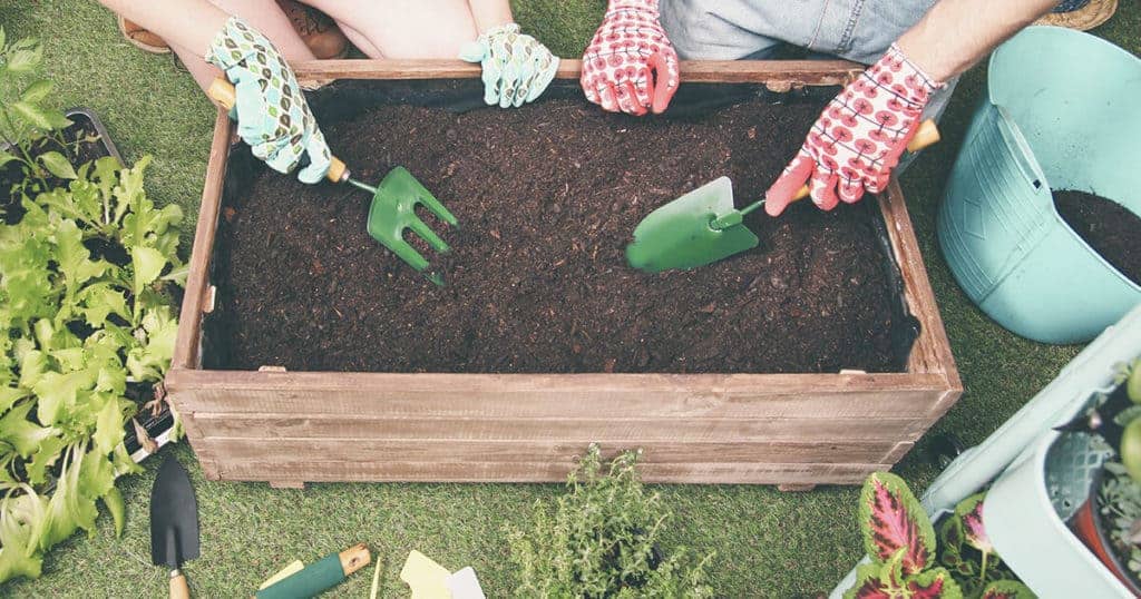 Duas pessoas plantando em horta