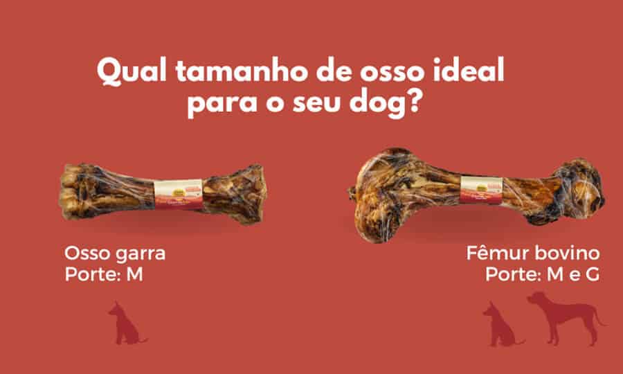 Ossos ideais para cachorro de acordo com o tamanho.