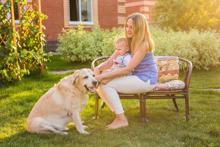 mãe com bebe no colo passando a mão em um cachorro sentado