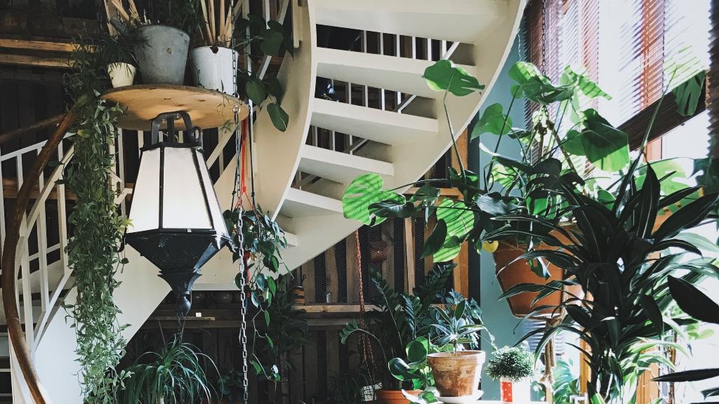 Ambiente interno decorado com vasos de plantas suspensas.