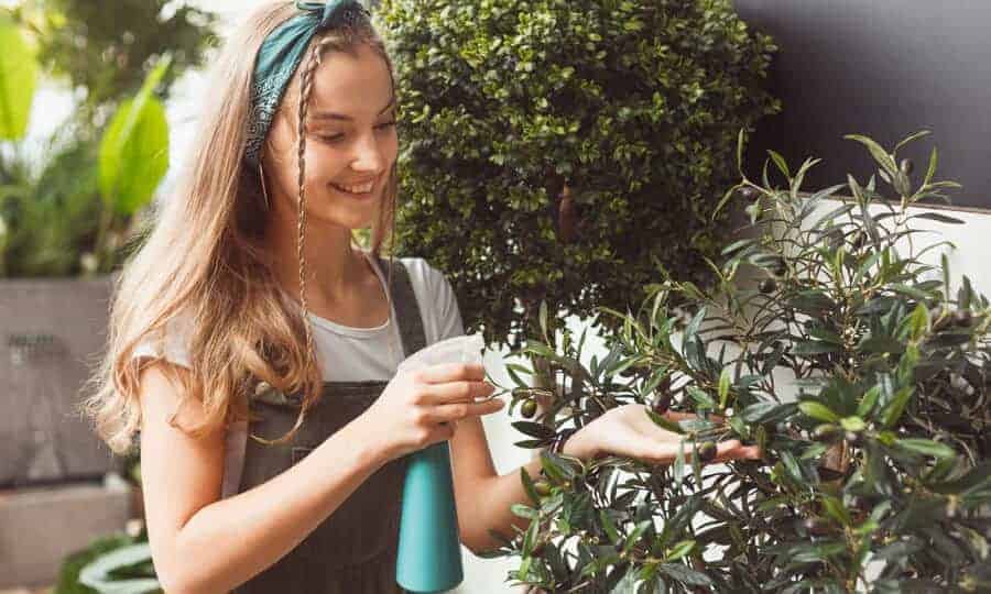 Mulher cuidando de planta.