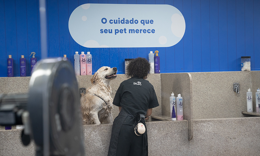 Funcionária do Seres dando banho em labrador.