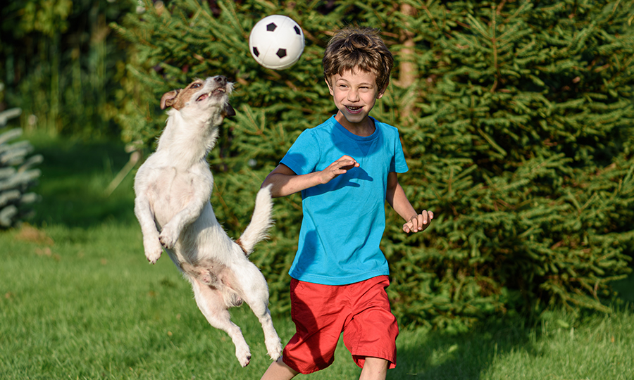 Imagem de criança e cachorro brincando