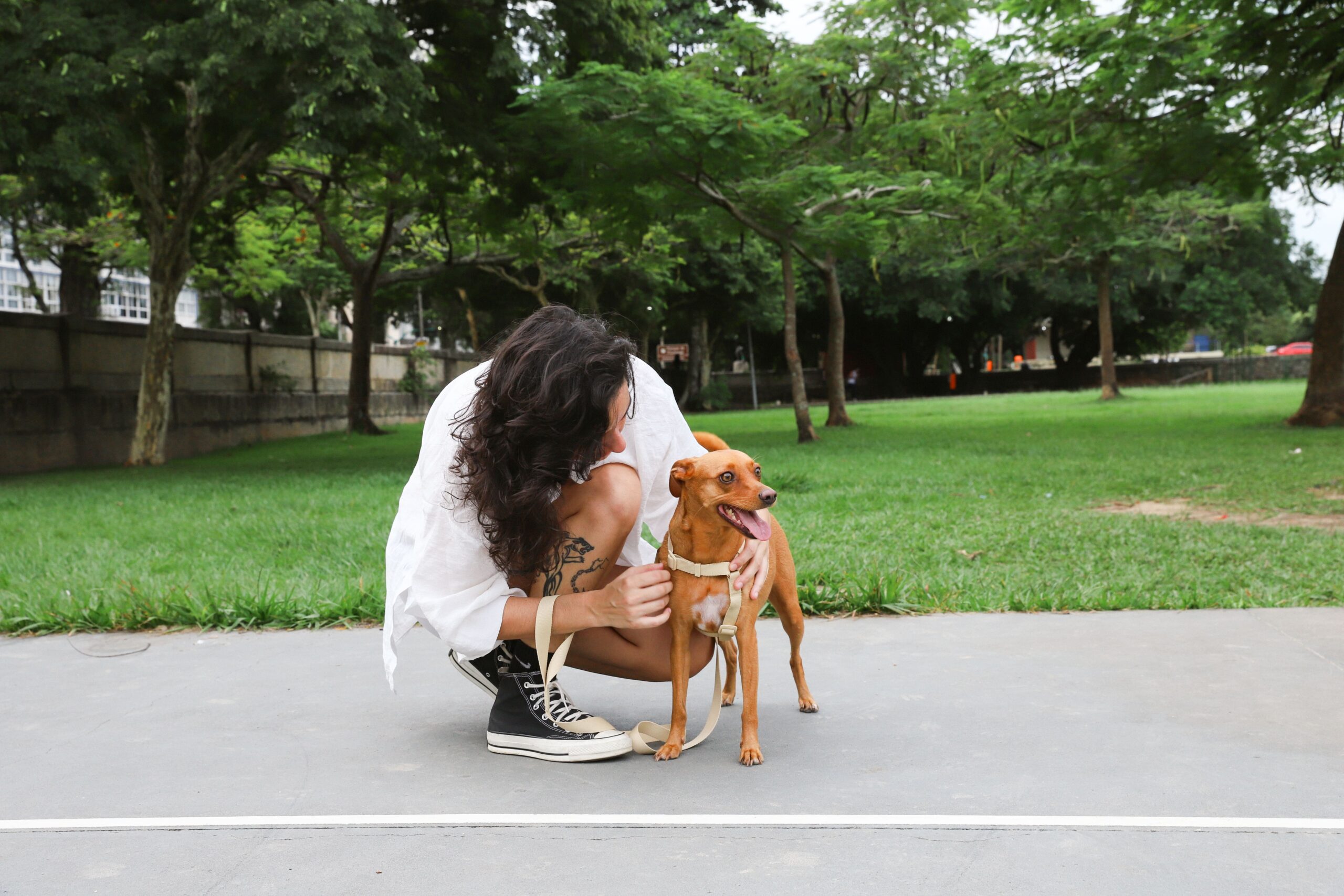 Mulher agachada na altura do cachorro.