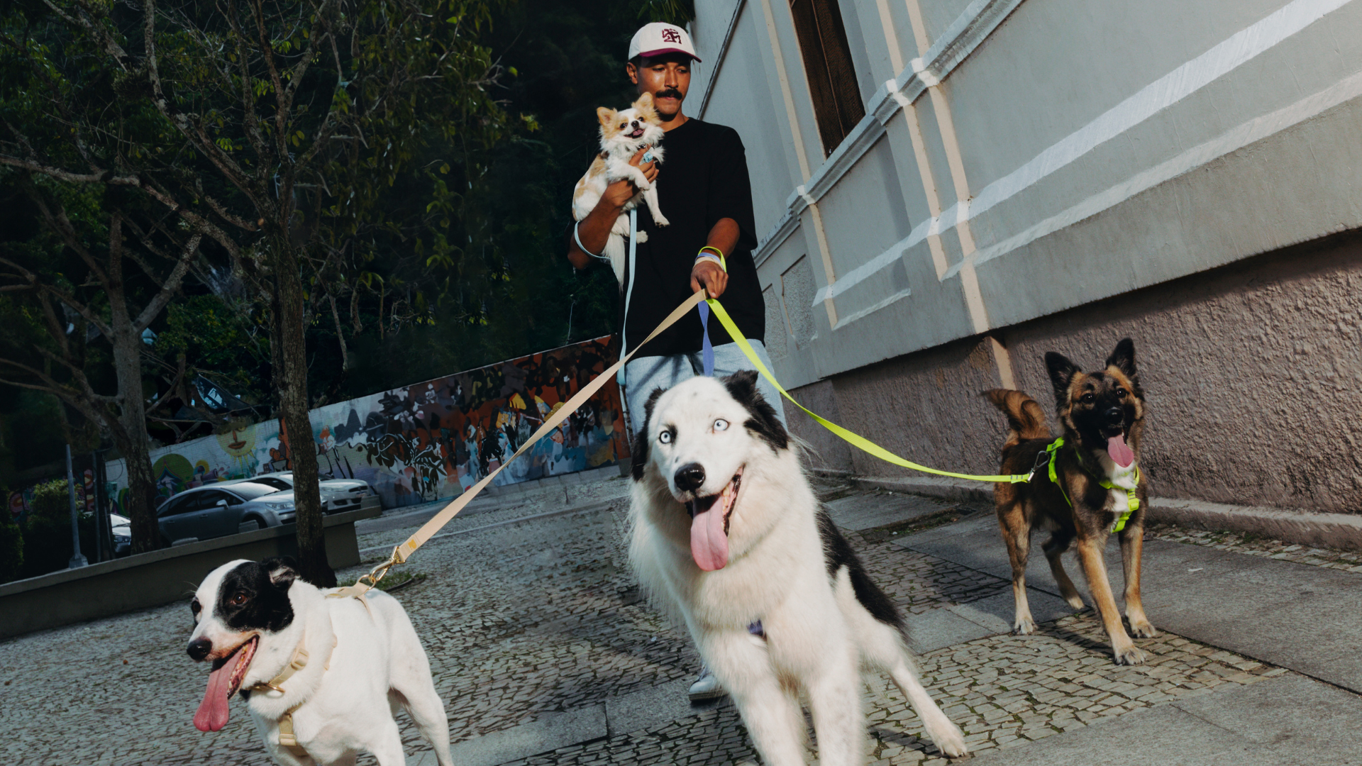 Imagem de homem andando com cachorros