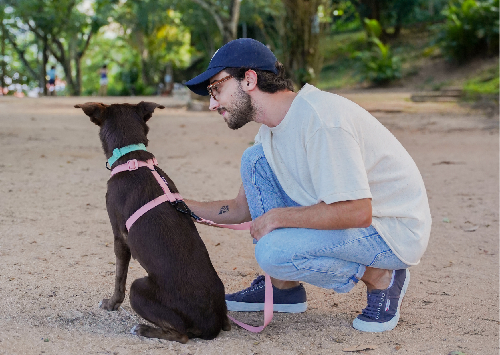 cachorro passeando com tutor