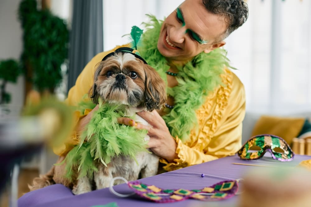 Tutor e cachorro com fantasias verdes de carnaval.