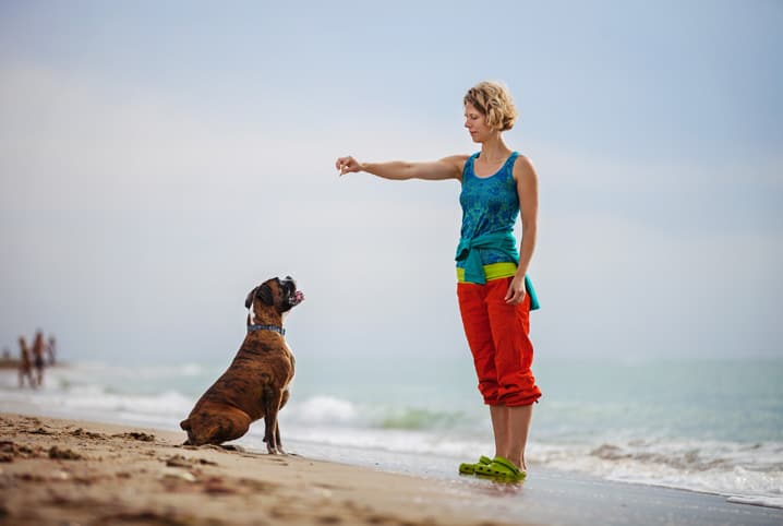 Mulher com a mão levantada em direção ao pet em adestramento.