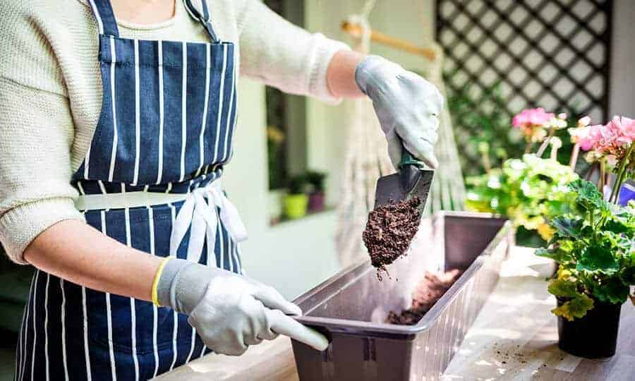 Mulher de avental e luva colocando terra no vaso.