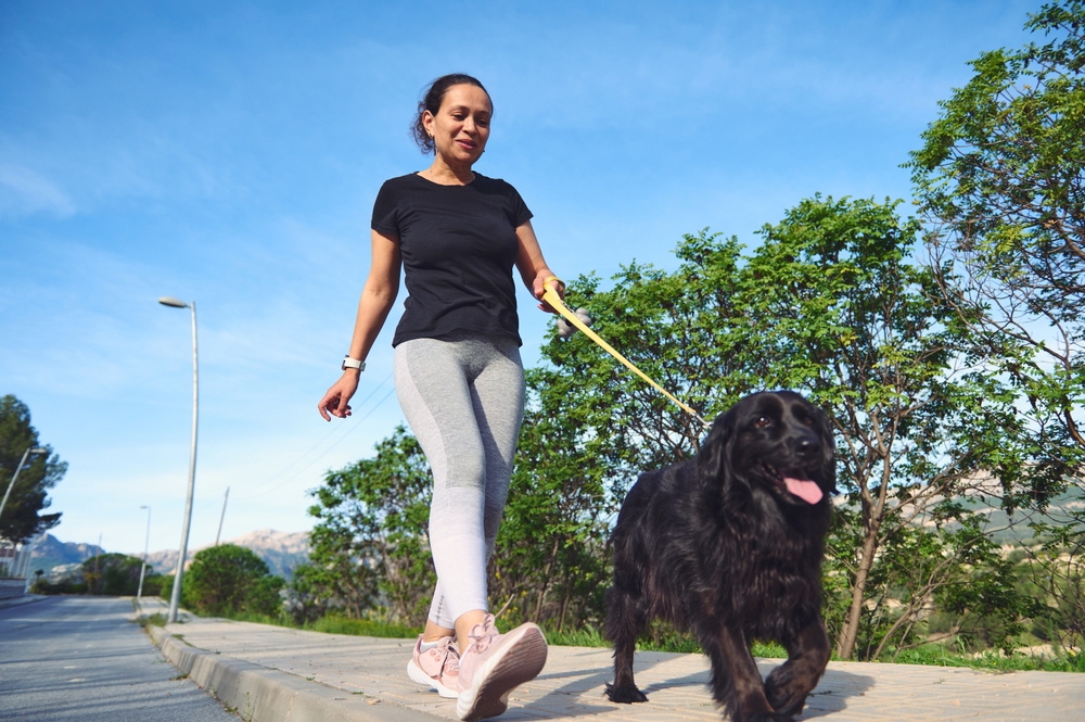 passear cachorro2